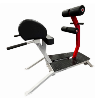 PP2760 Glute Ham-lowerback